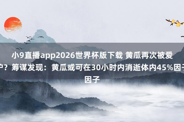 小9直播app2026世界杯版下载 黄瓜再次被爱护？筹谋发现：黄瓜或可在30小时内消逝体内45%因子