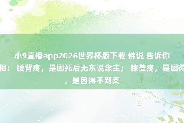 小9直播app2026世界杯版下载 佛说 告诉你一个真相: 腰背疼,是因死后无东说念主; 膝盖疼,是因得不到支