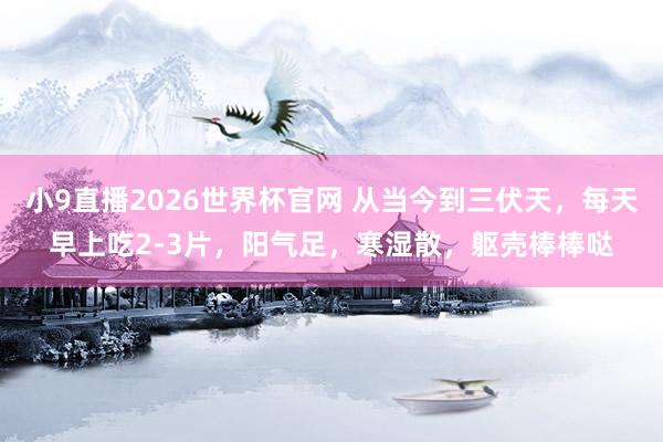 小9直播2026世界杯官网 从当今到三伏天,每天早上吃2-3片,阳气足,寒湿散,躯壳棒棒哒