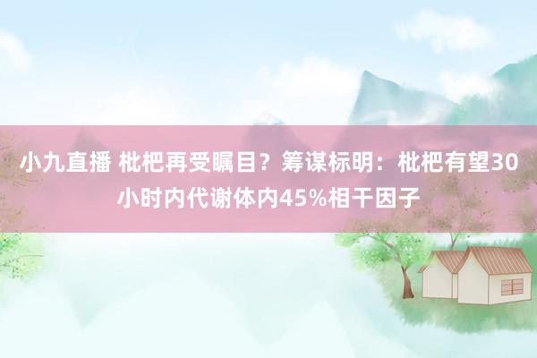 小九直播 枇杷再受瞩目？筹谋标明：枇杷有望30小时内代谢体内45%相干因子