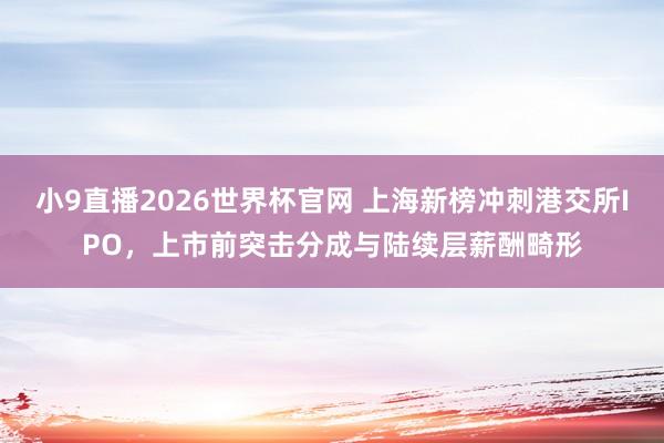 小9直播2026世界杯官网 上海新榜冲刺港交所IPO,上市前突击分成与陆续层薪酬畸形