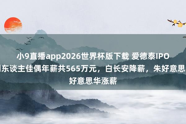 小9直播app2026世界杯版下载 爱德泰IPO:独创东谈主佳偶年薪共565万元,白长安降薪,朱好意思华涨薪
