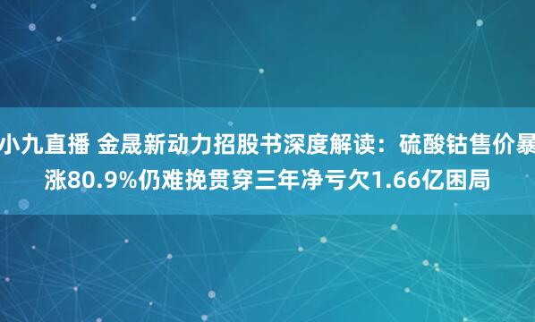 小九直播 金晟新动力招股书深度解读:硫酸钴售价暴涨80.9%仍难挽贯穿三年净亏欠1.66亿困局