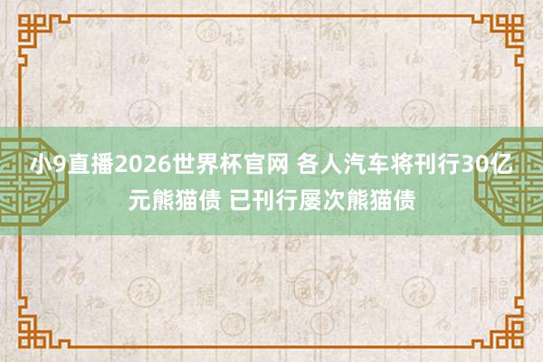 小9直播2026世界杯官网 各人汽车将刊行30亿元熊猫债 已刊行屡次熊猫债