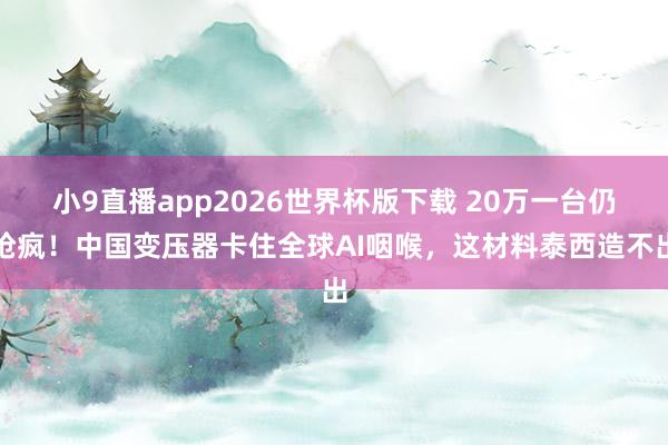 小9直播app2026世界杯版下载 20万一台仍抢疯!中国变压器卡住全球AI咽喉,这材料泰西造不出