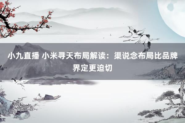 小九直播 小米寻天布局解读:渠说念布局比品牌界定更迫切