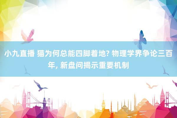 小九直播 猫为何总能四脚着地? 物理学界争论三百年, 新盘问揭示重要机制