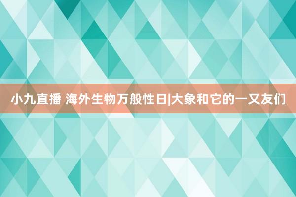 小九直播 海外生物万般性日|大象和它的一又友们