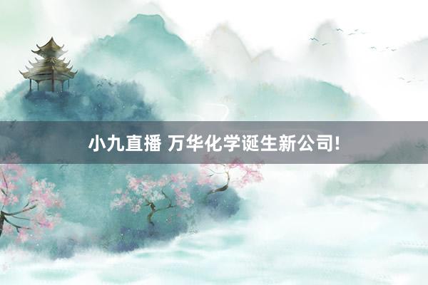 小九直播 万华化学诞生新公司!