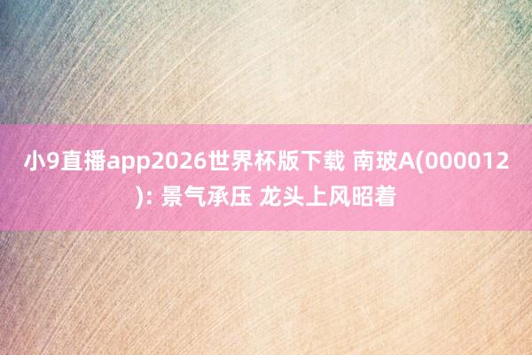 小9直播app2026世界杯版下载 南玻A(000012): 景气承压 龙头上风昭着