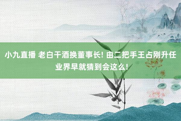 小九直播 老白干酒换董事长! 由二把手王占刚升任 业界早就猜到会这么!