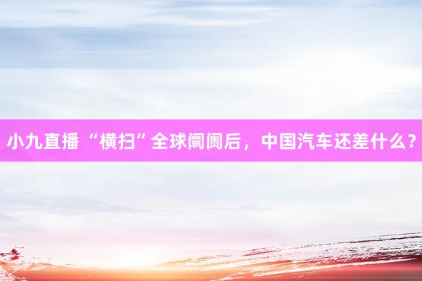 小九直播 “横扫”全球阛阓后,中国汽车还差什么?