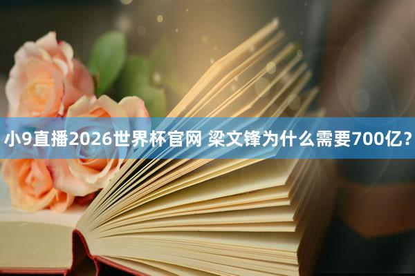 小9直播2026世界杯官网 梁文锋为什么需要700亿？