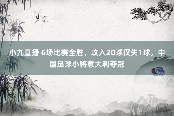 小九直播 6场比赛全胜,攻入20球仅失1球,中国足球小将意大利夺冠
