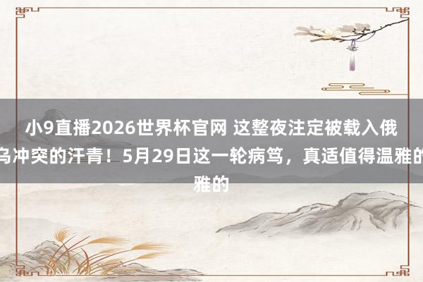 小9直播2026世界杯官网 这整夜注定被载入俄乌冲突的汗青!5月29日这一轮病笃,真适值得温雅的