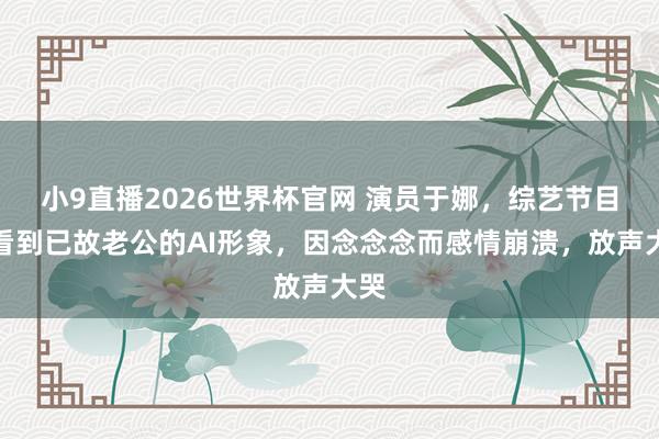 小9直播2026世界杯官网 演员于娜,综艺节目上看到已故老公的AI形象,因念念念而感情崩溃,放声大哭