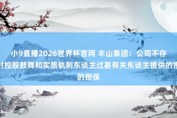 小9直播2026世界杯官网 丰山集团:公司不存在对控股鼓舞和实质轨则东谈主过甚有关东谈主提供的担保