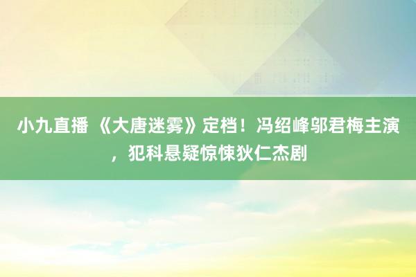 小九直播 《大唐迷雾》定档!冯绍峰邬君梅主演,犯科悬疑惊悚狄仁杰剧