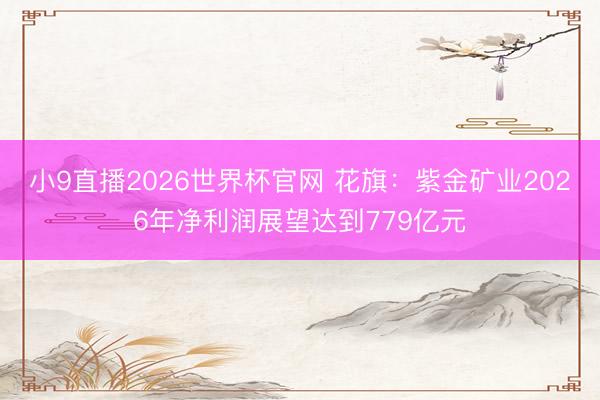 小9直播2026世界杯官网 花旗：紫金矿业2026年净利润展望达到779亿元