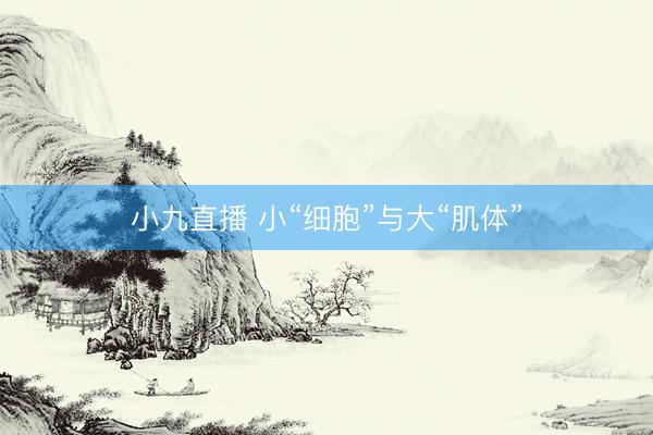 小九直播 小“细胞”与大“肌体”