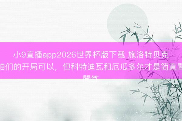 小9直播app2026世界杯版下载 施洛特贝克:咱们的开局可以,但科特迪瓦和厄瓜多尔才是简直闇练