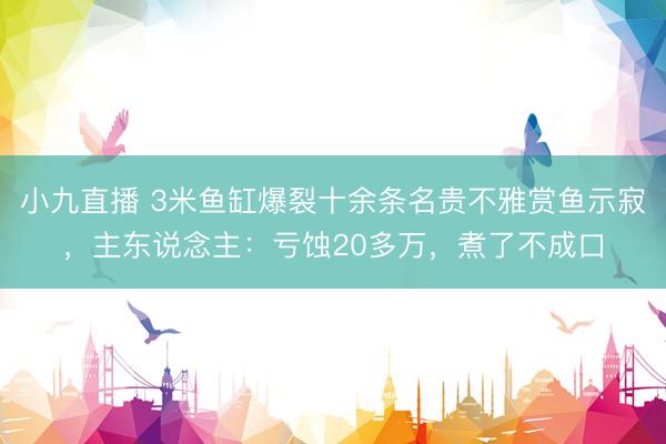 小九直播 3米鱼缸爆裂十余条名贵不雅赏鱼示寂,主东说念主:亏蚀20多万,煮了不成口