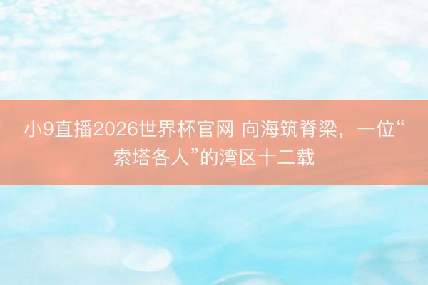 小9直播2026世界杯官网 向海筑脊梁,一位“索塔各人”的湾区十二载