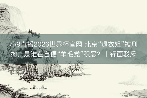 小9直播2026世界杯官网 北京“退衣姐”被刑拘,是谁在自便“羊毛党”积恶?|锋面驳斥